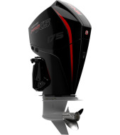 подвесной лодочный мотор MERCURY F 175 L Pro XS, MERCURY F 175 L Pro XS, MERCURY F175L ProXS, MERCURY 175, MERCURY F175, лодочный мотор MERCURY 175, лодочный мотор меркури 175, Mercury Pro XS, двигатель меркюри