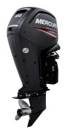 лодочный мотор MERCURY 100, MERCURY 100, MERCURY F 100 ECLPT EFI CT, MERCURY F 100, MERCURY F100, MERCURY 100, FourStroke 100 EFI